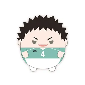 HQ-41 "Haikyu!!" Fuwakororin (M Size) 7 D Iwaizumi Hajime Metallic Finish