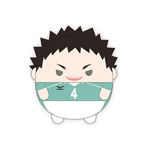 HQ-41 "Haikyu!!" Fuwakororin (M Size) 7 D Iwaizumi Hajime Metallic Finish