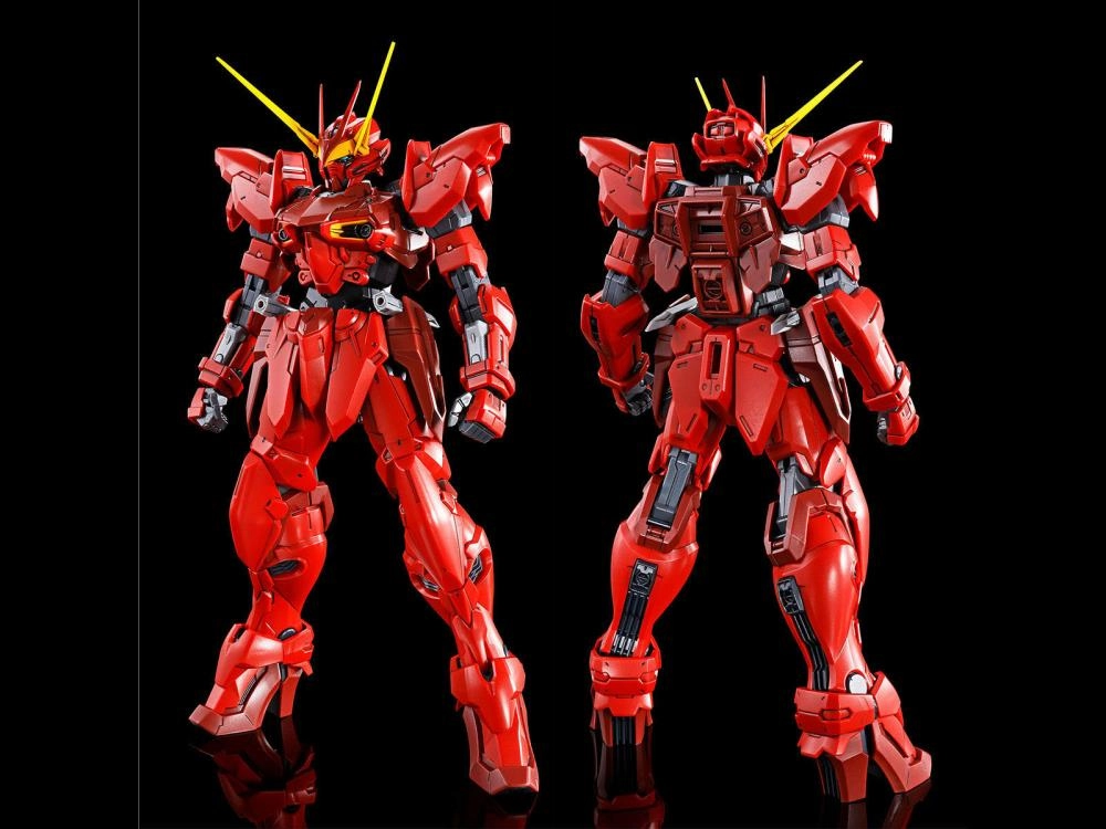 Personalized Gift Alien Creature Gundam 1/100 MG Seed Astray Testament Gundam Model Kit Exclusive