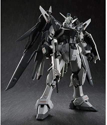 Gundam 1/144 RG ZGMF-X42S Destiny Gundam Deactive Mode Bandai Shop Model Kit Exclusive Contemporary Home PVC Toy