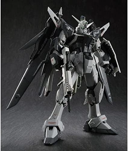 Gundam 1/144 RG ZGMF-X42S Destiny Gundam Deactive Mode Bandai Shop Model Kit Exclusive Personalized Exhibit