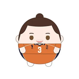 Small Tote HQ-41 "Haikyu!!" Fuwakororin (M Size) 7 B Azumane Asahi