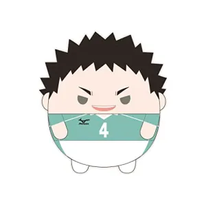 HQ-42 "Haikyu!!" Fuwakororin Big 7 D Iwaizumi Hajime Delightful Designer Tiny Host