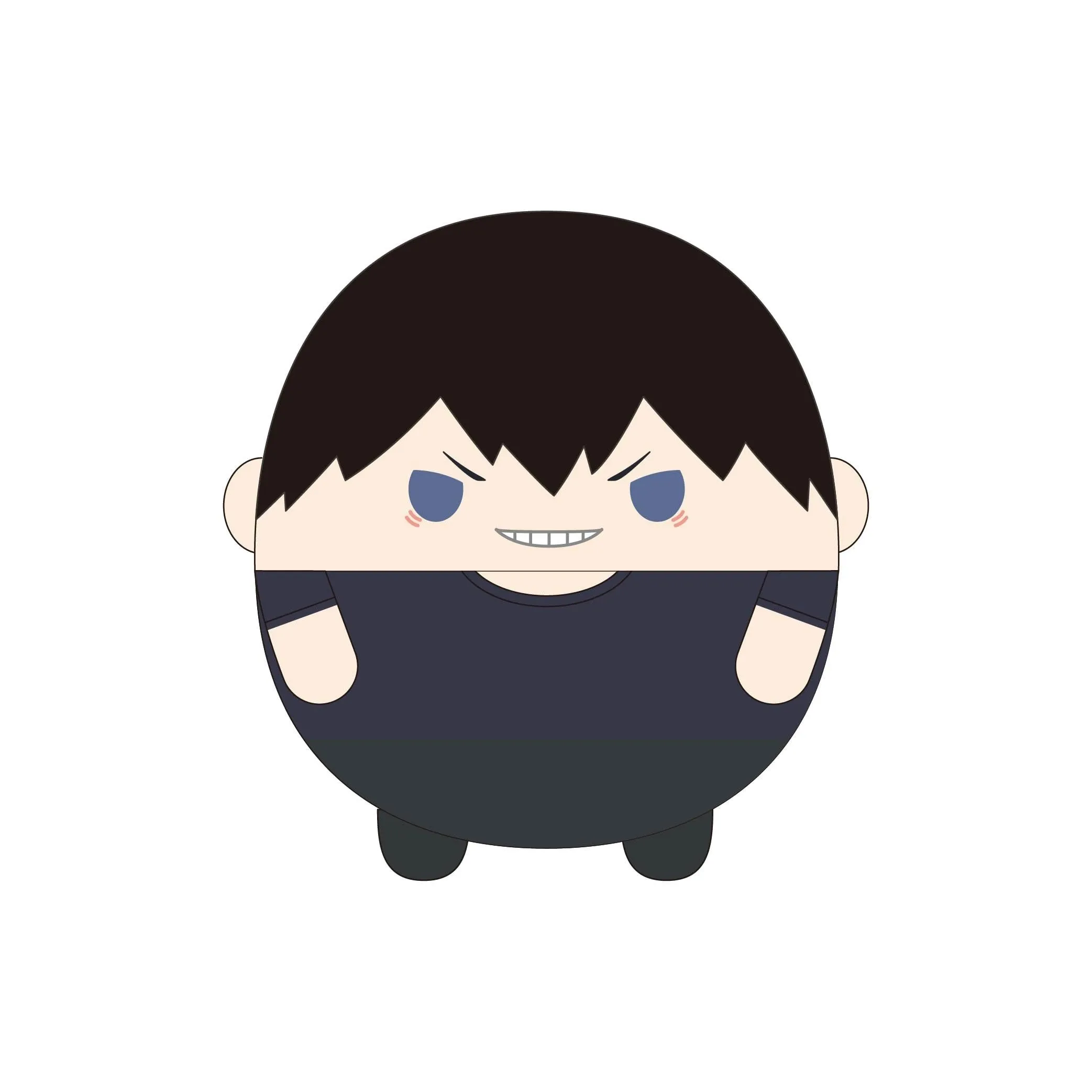 HQ-79 "Haikyu!!" Fuwakororin (M Size) 10 A Kageyama Tobio Easy Carry