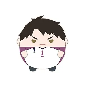 Mini Portfolio HQ-42 "Haikyu!!" Fuwakororin Big 7 F Ushijima Wakatoshi