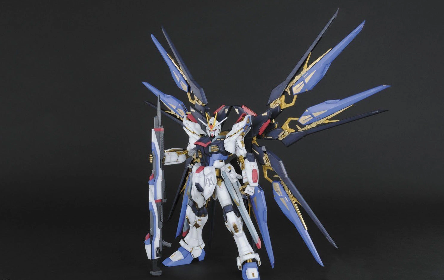 Local Favorite Native Art Gundam 1/60 PG Seed Destiny ZGMF-X20A Strike Freedom Model Kit
