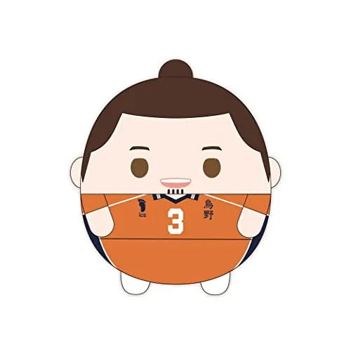 HQ-42 "Haikyu!!" Fuwakororin Big 7 B Azumane Asahi Small Group