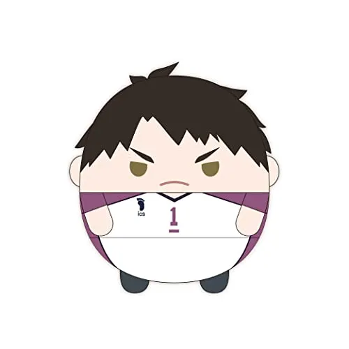 HQ-41 "Haikyu!!" Fuwakororin (M Size) 7 F Ushijima Wakatoshi Latest model