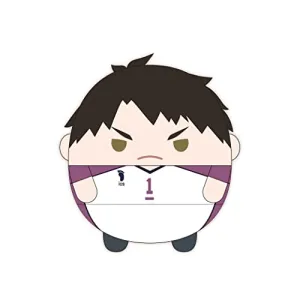 HQ-41 "Haikyu!!" Fuwakororin (M Size) 7 F Ushijima Wakatoshi Latest model