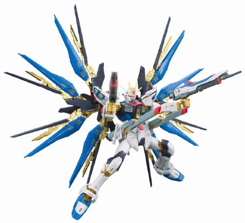 ZGMF-X20A Strike Freedom Gundam - 1/144 scale - RG (#14) Kidou Senshi Gundam SEED Destiny - Bandai Premium Model Desktop Replica